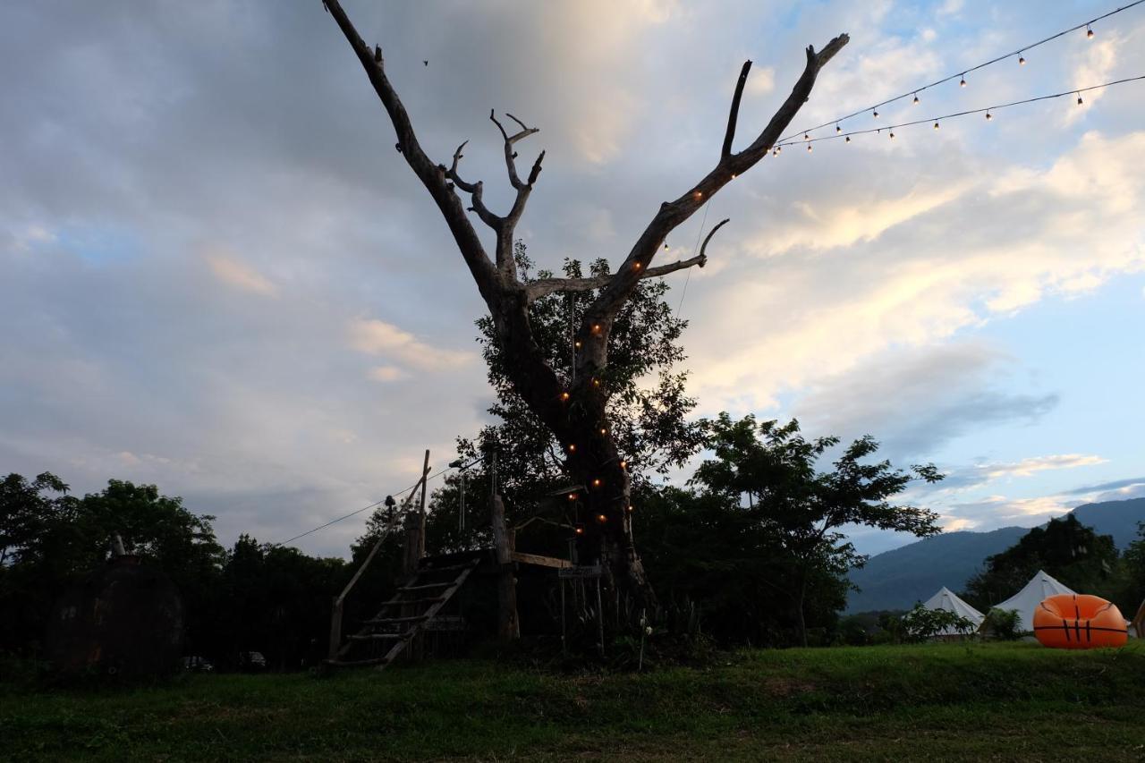 Hotel Camp Story Chiangmai Chiang Mai Zewnętrze zdjęcie